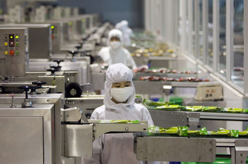 食品厂微生物防控新视界 当无菌工艺遇上触控技术